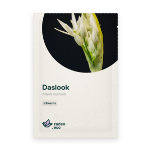 Zakje Daslook