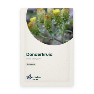 Zakje Donderkruid