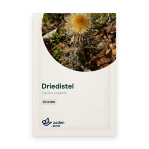 Zakje Driedistel