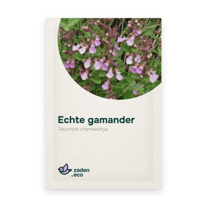Zakje Echte gamander