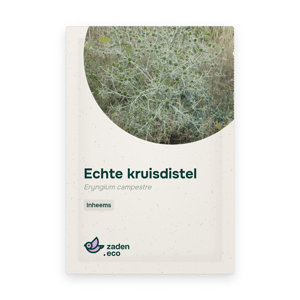 Zakje Echte kruisdistel