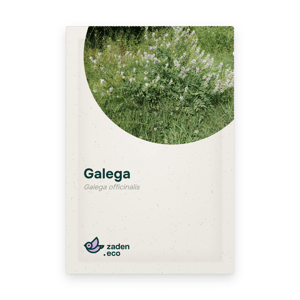 Zakje Galega