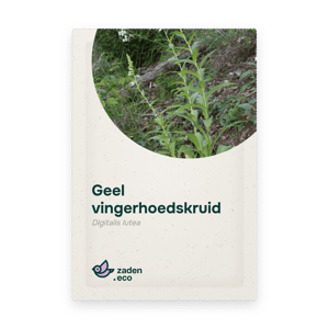 Zakje Geel vingerhoedskruid