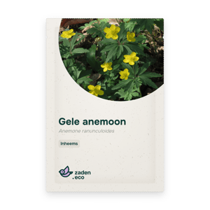 Zakje Gele anemoon
