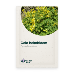 Zakje Gele helmbloem