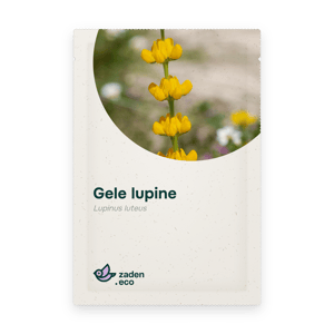 Zakje Gele lupine