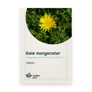 Zakje Gele morgenster
