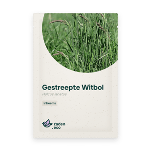 Zakje Gestreepte Witbol