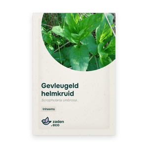 Zakje Gevleugeld helmkruid