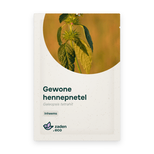 Zakje Gewone hennepnetel