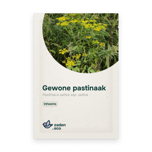 Zakje Gewone pastinaak
