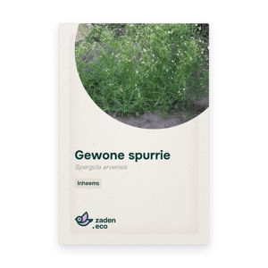 Zakje Gewone spurrie