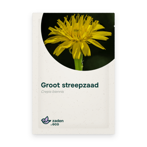 Zakje Groot streepzaad