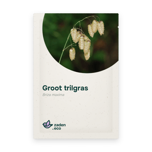 Zakje Groot trilgras
