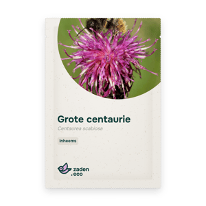 Zakje Grote centaurie