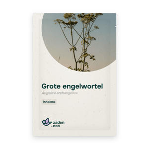 Zakje Grote engelwortel
