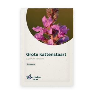 Zakje Grote kattenstaart