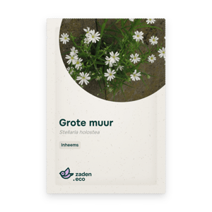Zakje Grote muur