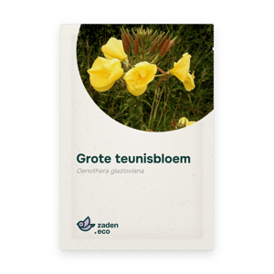 Zakje Grote teunisbloem