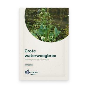 Zakje Grote waterweegbree