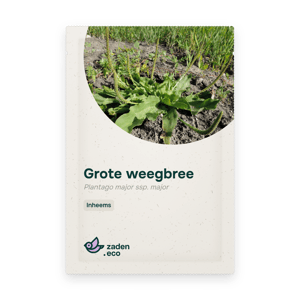 Zakje Grote weegbree