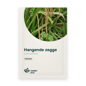 Zakje Hangende zegge