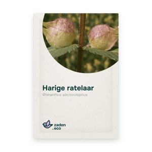 Zakje Harige ratelaar