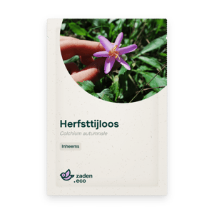 Zakje Herfsttijloos