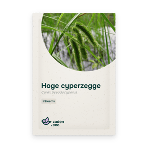 Zakje Hoge cyperzegge