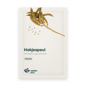Zakje Hokjespeul