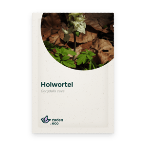 Zakje Holwortel