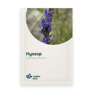 Zakje Hyssop