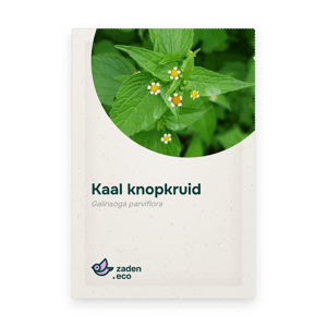 Zakje Kaal knopkruid