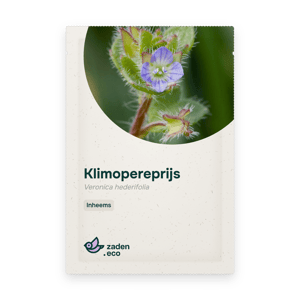 Zakje Klimopereprijs
