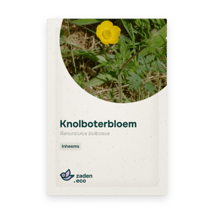 Zakje Knolboterbloem
