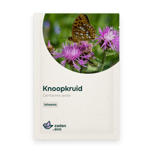 Zakje Knoopkruid