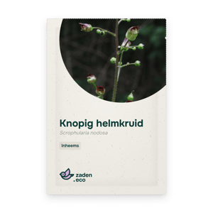 Zakje Knopig helmkruid