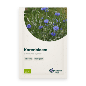 Zakje Korenbloem BIO