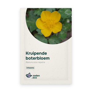 Zakje Kruipende boterbloem