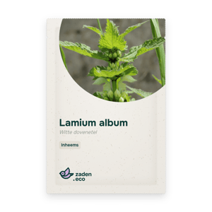 Zakje Lamium album