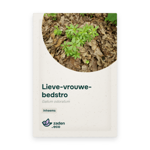 Zakje Lieve-vrouwe-bedstro