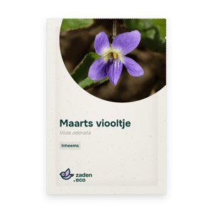 Zakje Maarts viooltje