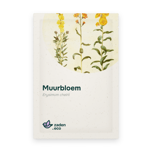 Zakje Muurbloem