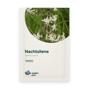 Zakje Nachtsilene