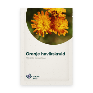 Zakje Oranje havikskruid