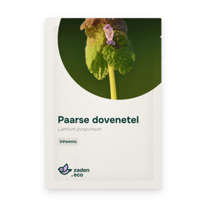 Zakje Paarse dovenetel