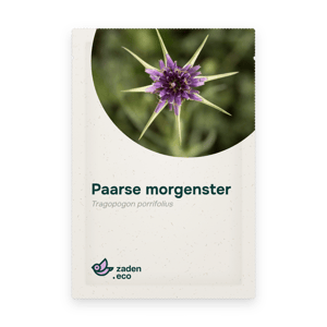 Zakje Paarse morgenster