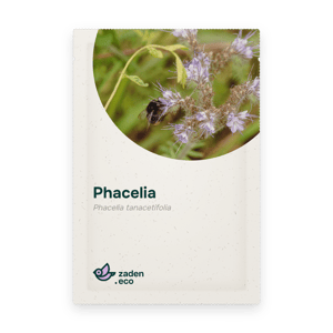 Zakje Phacelia