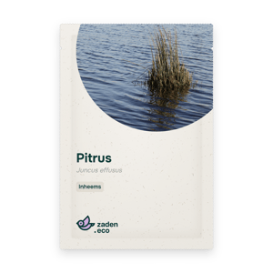 Zakje Pitrus