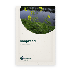 Zakje Raapzaad